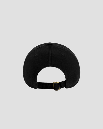 Big Two baseball cap